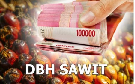 DBH Sawit Menurun,  Apindo Riau Kecewa Pengelolaan Dana Tak Transparan