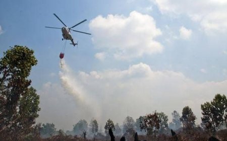 BPBD Riau Kerahkan 4 Heli Water Bombing Untuk Padamkan Kathutla