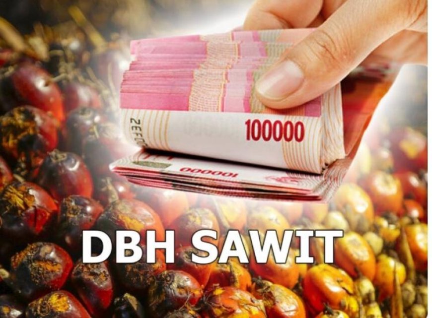 DBH Sawit Menurun,  Apindo Riau Kecewa Pengelolaan Dana Tak Transparan