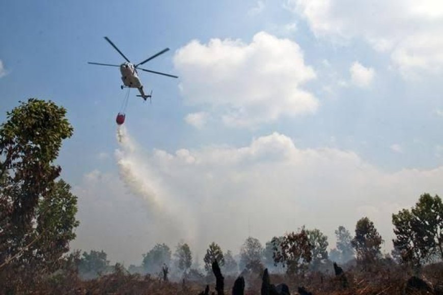 BPBD Riau Kerahkan 4 Heli Water Bombing Untuk Padamkan Kathutla