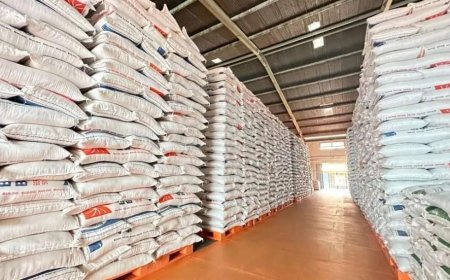 Riau Catat Hasilkan 106,20 Ribu Ton Beras Sepanjang Januari - September 2024