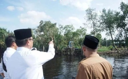 Perjuangan Wardan dan PLN Hadirkan Listrik 24 Jam di Kecamatan Teluk Belengkong dan Pelangiran