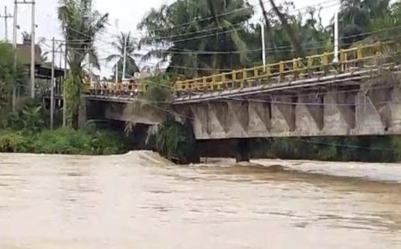 Akibat Curah Hujan Tinggi, Tim Kementerian PUPR Lakukan Pengecekan Kondisi Jembatan Sei Rokan