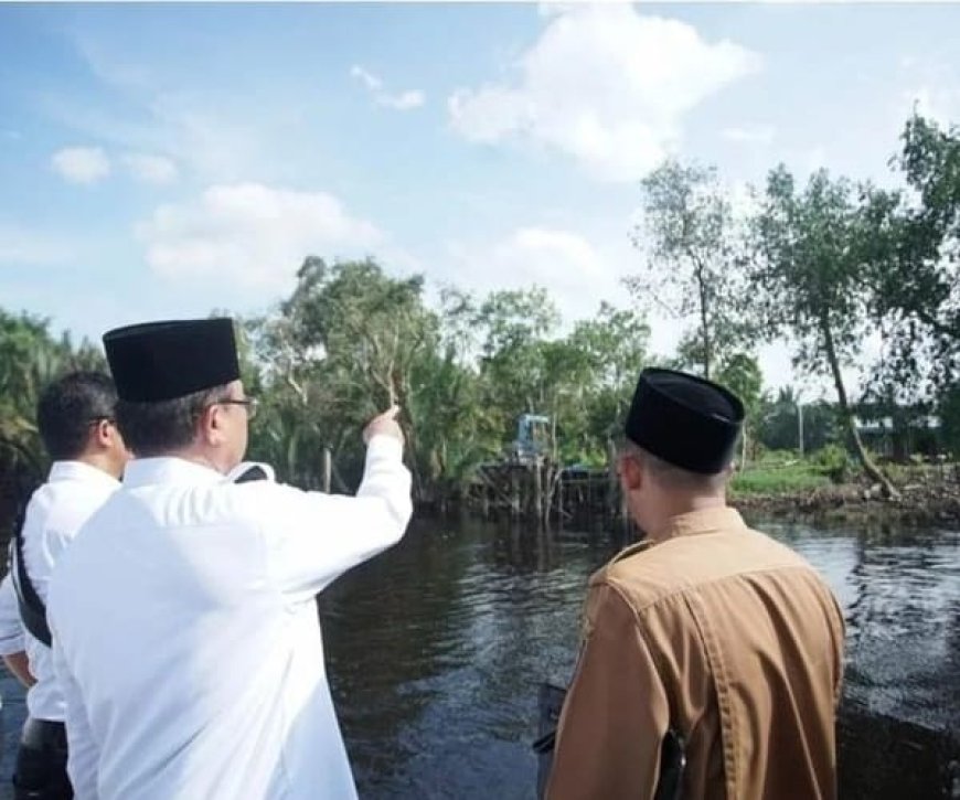 Perjuangan Wardan dan PLN Hadirkan Listrik 24 Jam di Kecamatan Teluk Belengkong dan Pelangiran