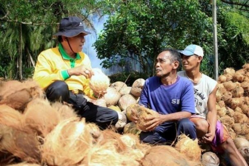 Selama Menjabat Bupati Inhil, Wardan Komit Perjuangkan Kesejahteraan Petani Kelapa