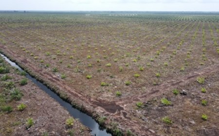 Program Prioritas Kemenhut Belum Penuhi Tuntutan Pemulihan Lingkungan dan Legalitas Rakyat atas Kawasan Hutan