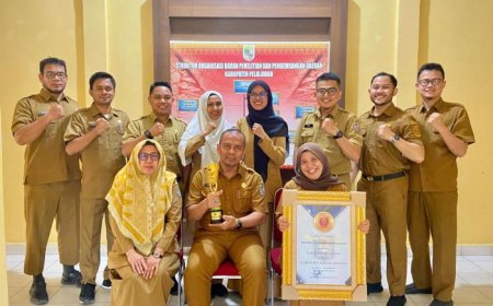 Pemkab Pelalawan Raih Penghargaan  Innovative Government Award  2024