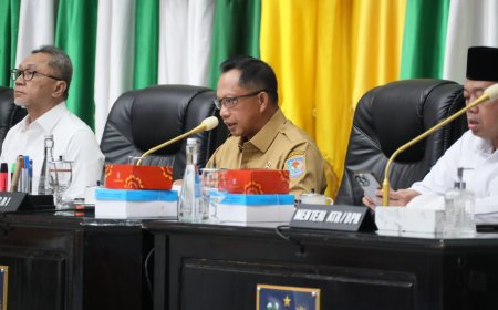 Dukung Swasembada Pangan, Mendagri Minta Pemda Data Kondisi Irigasi di Daerah