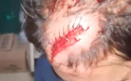 Berdarah-Darah, Video Masyarakat Rempang Diserang