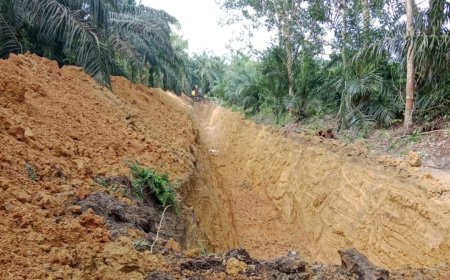 PT. MUP Diduga Merusak Jalan Kebun Milik Masyarakat di Kelurahan Langgam