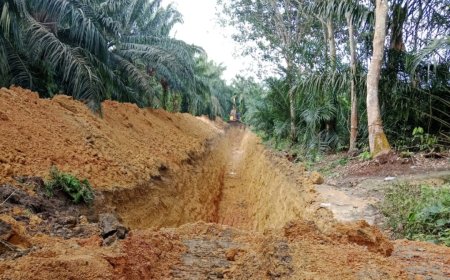 Masyarakat Langgam Akan Laporkan PT. MUP, Lahet : Saya Di Dzolimi