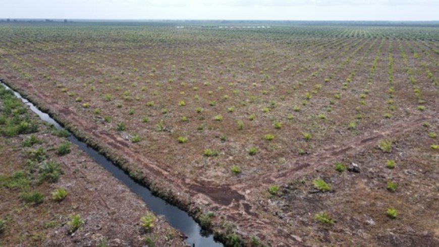 Program Prioritas Kemenhut Belum Penuhi Tuntutan Pemulihan Lingkungan dan Legalitas Rakyat atas Kawasan Hutan