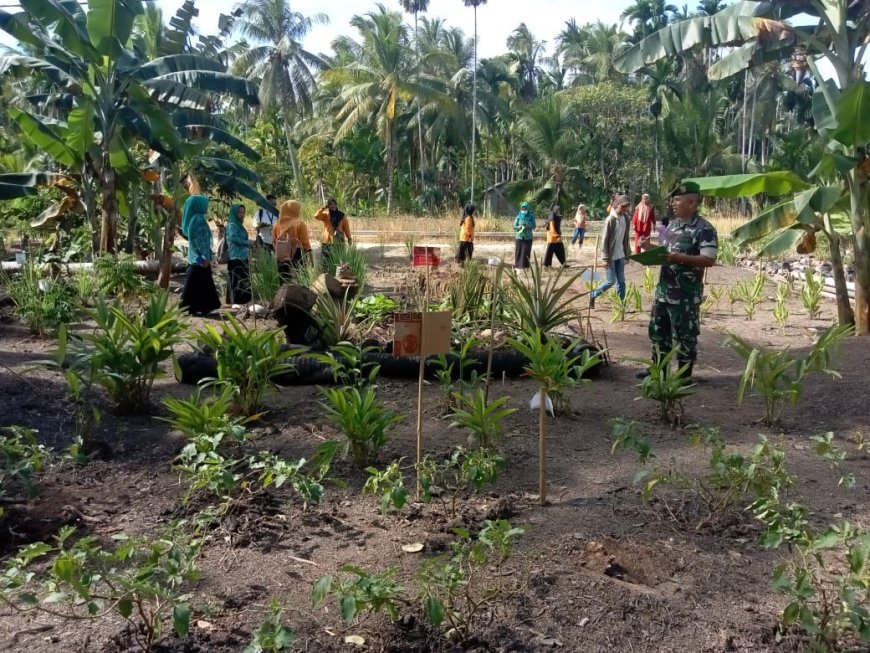 Tim Penggerak PKK Desa Pekan Kamis Adakan Lomba Perkarangan  Bersih, Sehat dan Tanaman Obat Keluarga 2024