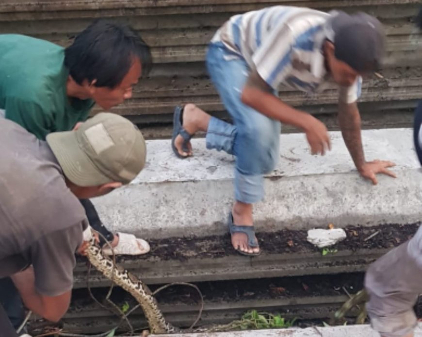Sheet Pile Jadi Sarang Ular, PUPR PKPP Riau Abaikan Permohonan Pemindahan Dari Kawasan Sekolah 