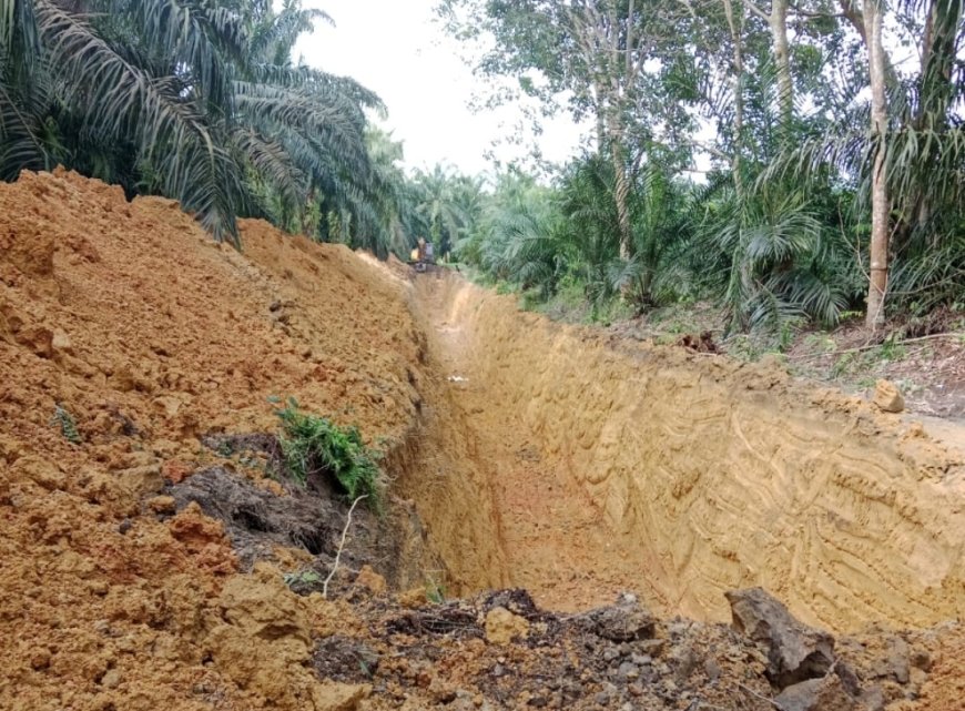 PT. MUP Diduga Merusak Jalan Kebun Milik Masyarakat di Kelurahan Langgam