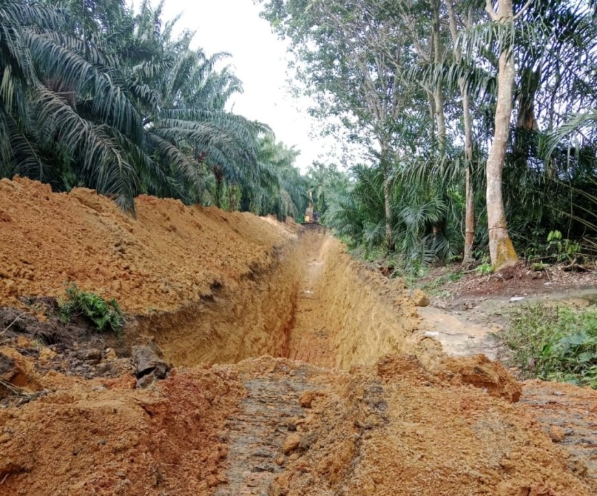 Masyarakat Langgam Akan Laporkan PT. MUP, Lahet : Saya Di Dzolimi