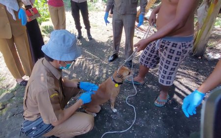 Kampar Jadi Wilayah Terparah Kena Wabah Penyakit Hewan di Sepanjang 2024