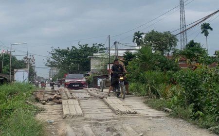 Banyaknya Jembatan Rusak Di Keritang, Aidil Akbar Mahasiswa Keritang: Ini Adalah Tanggung Jawab Pemerintah!