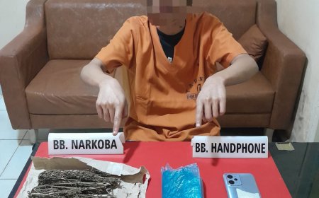 Polisi Ringkus Mahasiswa Diduga Pengedar Ganja 