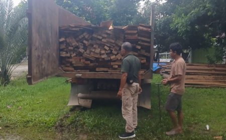 Polhut TNBT Berhasil Amankan Terduga Pelaku Illegal Logging