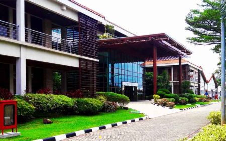 Produsen Sepatu Nike di Indonesia PHK Massal 2.400 Karyawan