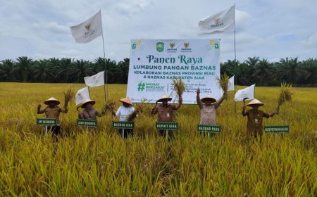 Baznas Riau Sukses Kembangkan Padi di Siak