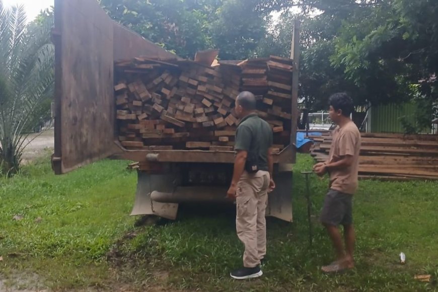 Polhut TNBT Berhasil Amankan Terduga Pelaku Illegal Logging
