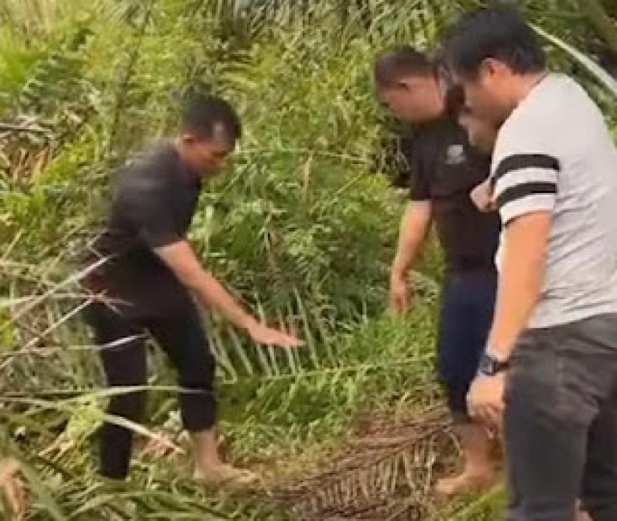 Kurang dari 6 Jam, Polisi Ringkus Pelaku Pencabulan Anak di Bawah Umur