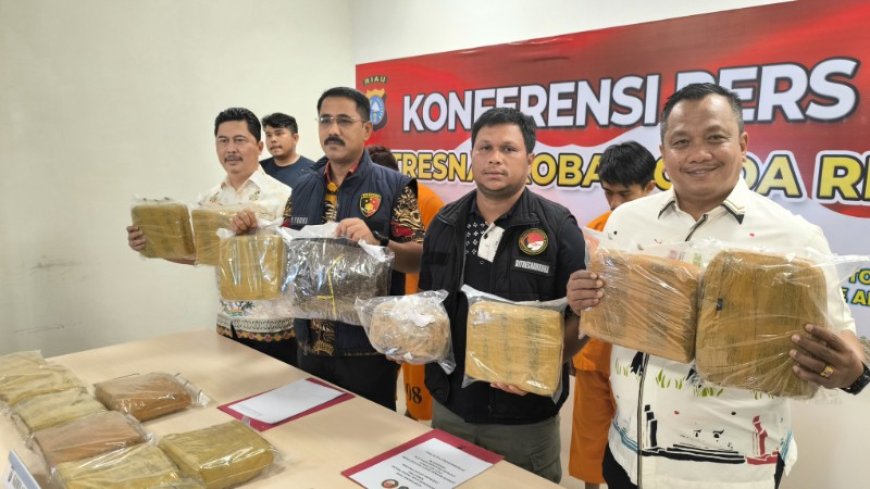 Polda Riau Gagalkan Peredaran 16,5 Ganja, Tiga Pelaku Diamankan