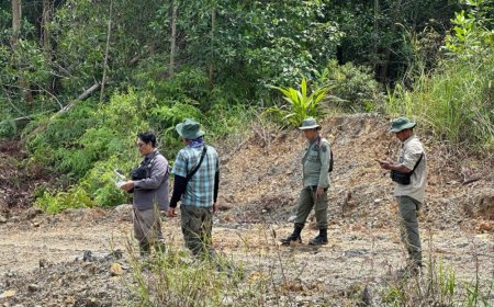 Nekat Jual Hutan Lindung 150 Ha, Kades dan Sekdes di Inhu Ditangkap