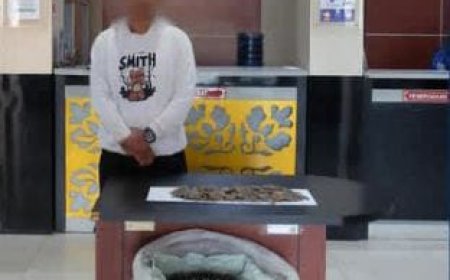 Bea Cukai Tembilahan Gagalkan Penyelundupan 30 Kilogram Sisik Trenggiling di Perairan Kuala Indragiri