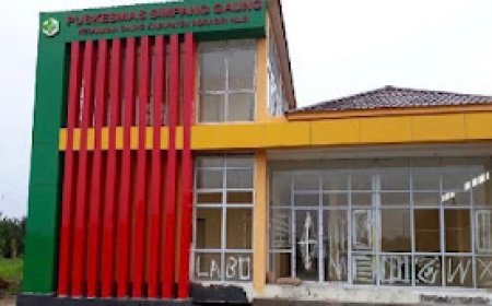 Diduga Lakukan Pembiaran ke Pasien, Salah Satu Puskesmas di Inhil Tuai Sorotan
