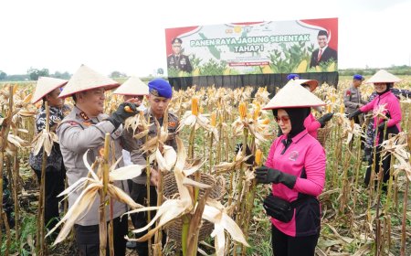 Kapolda Riau Panen 156,64 Ton Jagung Pipil