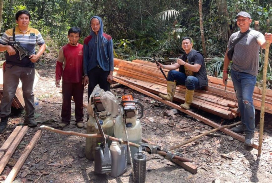Polisi Tangkap Tujuh Pelaku Illegal Logging di Kawasan Habitat Harimau Sumatera