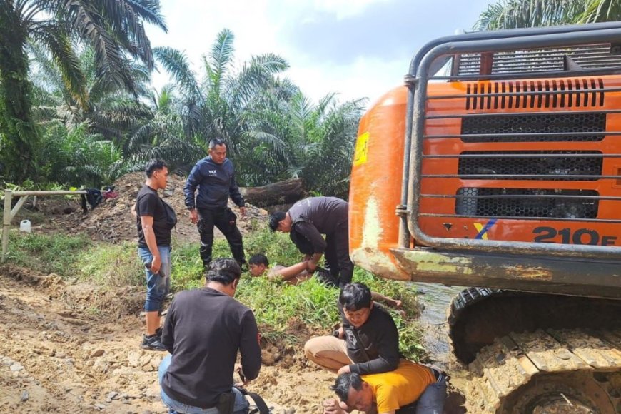Garap Kawasan Hutan, Polisi Tangkap Operator Alat Berat dan Helper