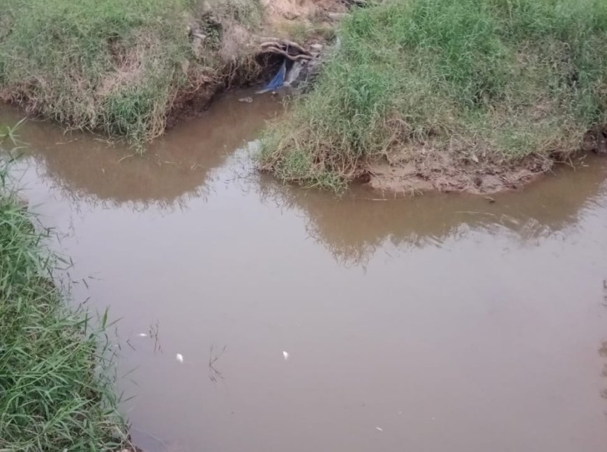 Dugaan Kebocoran Limbah PT MUP, Masyarakat Badegu Langgam Minta Perusahaan Bertanggung Jawab