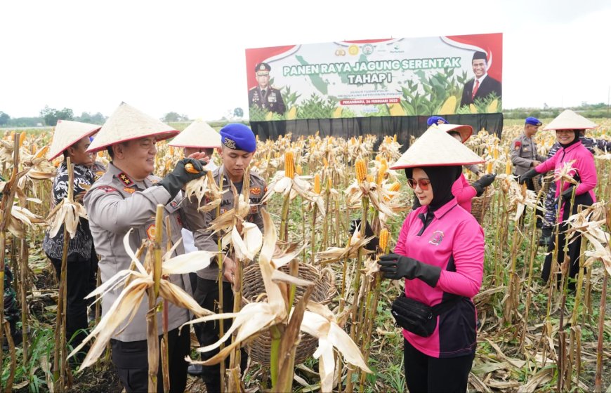 Kapolda Riau Panen 156,64 Ton Jagung Pipil