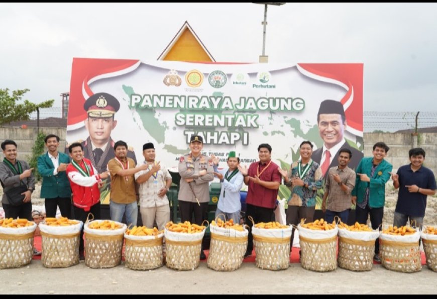 Polda Riau Gelar Panen Raya Jagung Tahap Pertama, PKC PMII Riau Beri Apresiasi