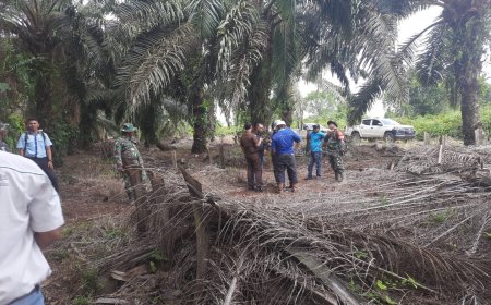Diduga Garap Lahan di Luar HGU, Satgas Garuda Lakukan Penertiban Terhadap 114 Hektar Lahan PT Surya Dumai Agrindo
