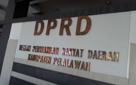 Tingginya Kasus Anak, Komnas PA Surati DPRD Pelalawan Minta RDP Bersama Pihak Terkait