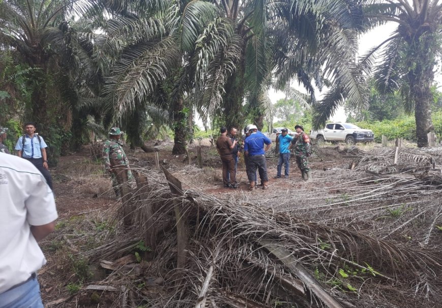 Diduga Garap Lahan di Luar HGU, Satgas Garuda Lakukan Penertiban Terhadap 114 Hektar Lahan PT Surya Dumai Agrindo
