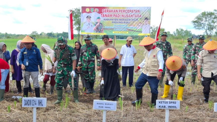 Dukung Swasembada Pangan, Dandim 0314/Inhil Hadiri Penanaman Padi Serentak di Tempuling