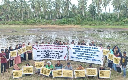 Kasasi PT Trisetia Usaha Mandiri Ditolak MA, Walhi Minta Bupati Pelalawan Tak Terbitkan Izin di Pulau Mendol
