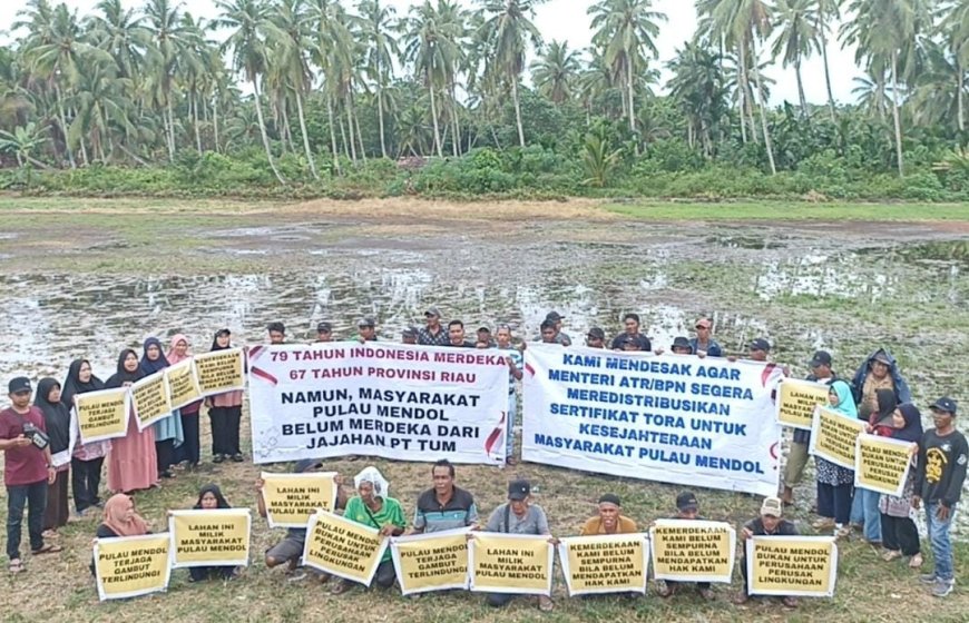 Kasasi PT Trisetia Usaha Mandiri Ditolak MA, Walhi Minta Bupati Pelalawan Tak Terbitkan Izin di Pulau Mendol