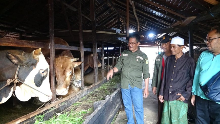 DPTPHP Kabupaten Indragiri Hilir Lakukan Pemeriksaan Hewan Kurban Menjelang Idul Adha 1446 H - 2025 M