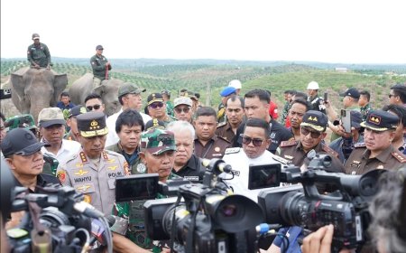 Penertiban Sawit Ilegal, Langkah Tegas Satgas PKH Selamatkan Kawasan Hutan Taman Nasional Teso Nilo