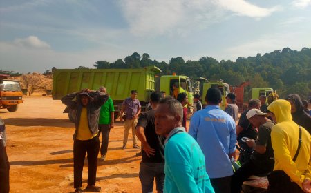 Hutan Lindung Digasak Tanpa Ampun di Nongsa: Perusahaan Hantu Beroperasi Dekat Markas Polda, Negara Diam?