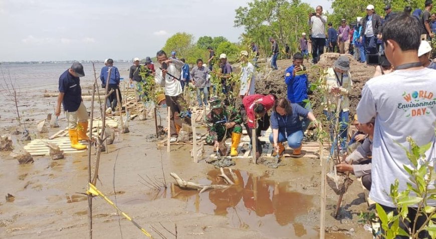 Peringati Hari Lingkungan Hidup Sedunia, Danramil 06/Kateman dan Forkopimcam Tanam Pohon Mangrove