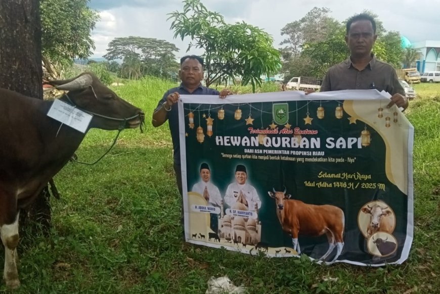 Gubernur Riau H Abdul Wahid Salurkan 131 Hewan Qurban