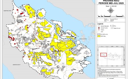 Riau Tanggap Darurat Karhutla: WALHI Riau Tuntut Ketegasan Komitmen Rezim Baru